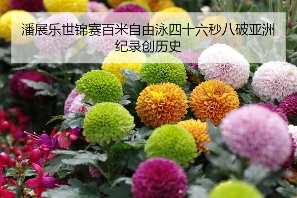潘展乐世锦赛百米自由泳四十六秒八破亚洲纪录创历史